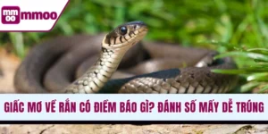 Giấc mơ về rắn